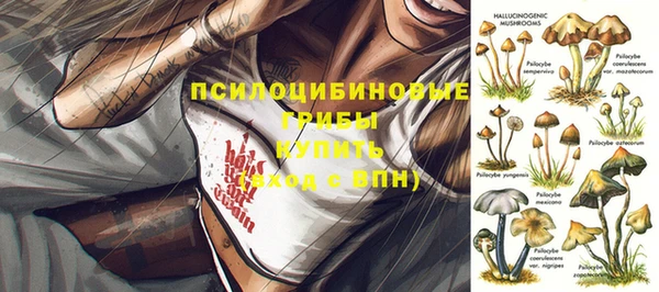 метадон Беломорск