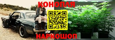 стаф Гусь-Хрустальный