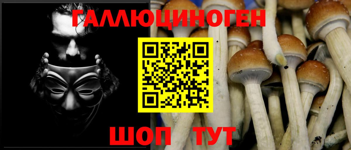 Ногинск  Галлюциногенные грибы мицелий  Вход с VPN 