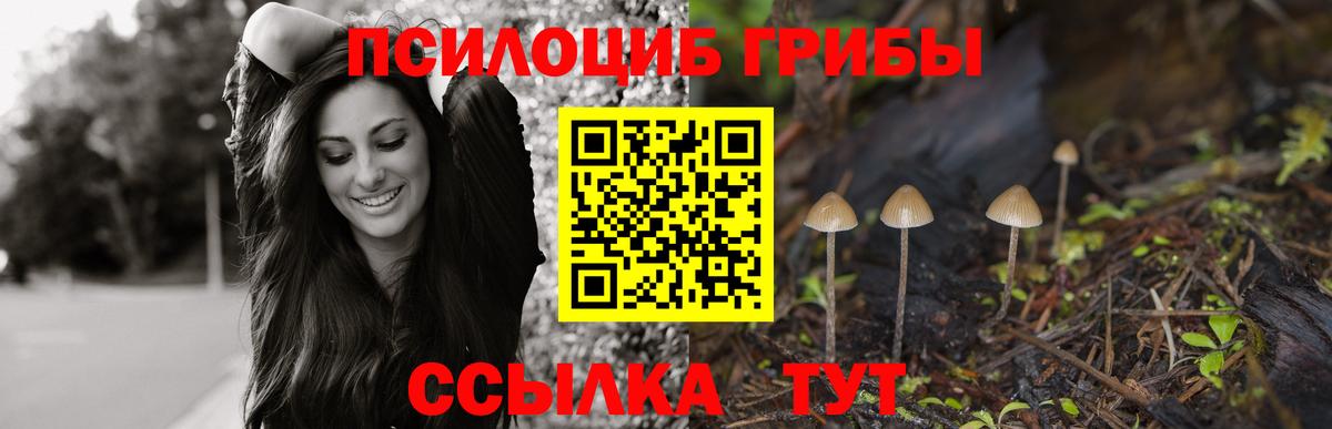 Псилоцибиновые грибы мицелий Ногинск